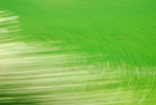 abstract photo art, green circles and white lines