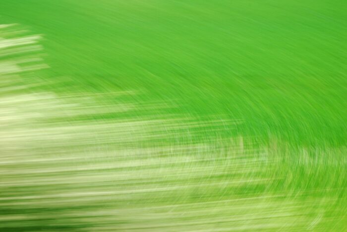 abstract photo art, green circles and white lines