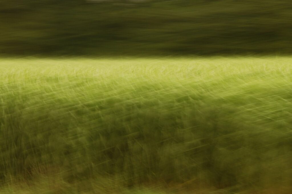 abstract photo art, a field turned into a pattern of different shades of green by motion blur