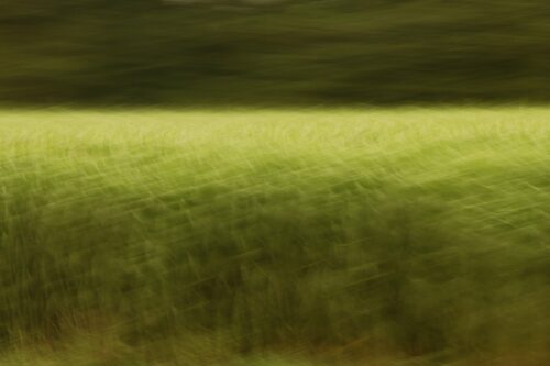 abstract photo art, a field turned into a pattern of different shades of green by motion blur
