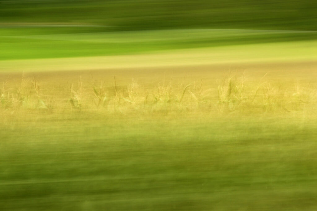 abstract photo art, details of a cornfield are visible amidst strong motion blur