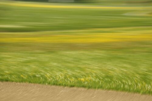 Landscape in motion, a field with dandelions turned into stripes and circles by motion blur
