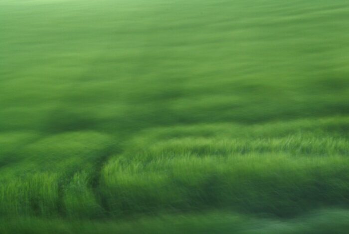 experimental photo art, a green field turned soft by motion blur