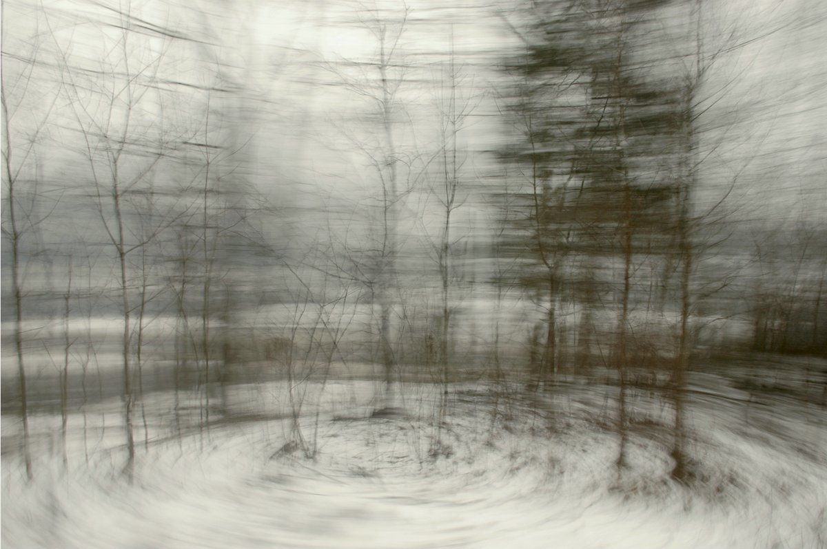 experimentelle Fotokunst, Winterlandschaft mit starker Bewegungsunschärfe, die einen Kreiseffekt erzeugt, als würden die kahlen Bäume sich umeinander drehen. Einzelne Details sind dennoch klar erkennbar.