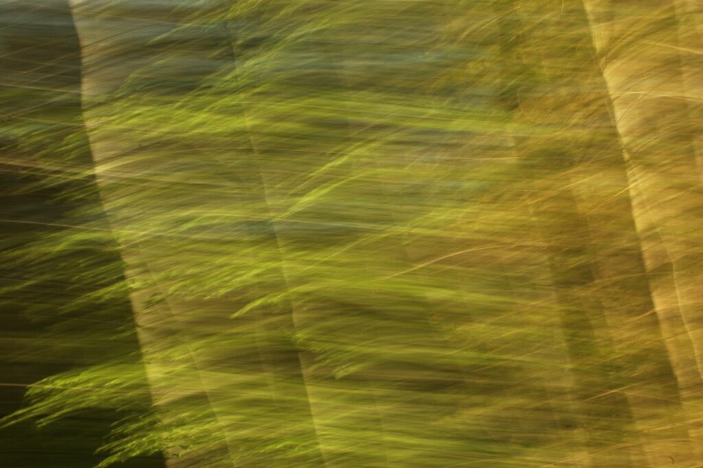 abstrakte Fotokunst, stark bewegungsunscharfe Fotografie eines Waldes, reduziert auf Flächen und verwischte Linien in Braun und hellen Grüntönen