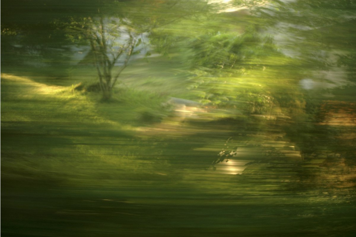 experimentelle Landschaftsfotografie, unterschiedlich stark verwischte Elemente in einem Wald, viel grün, vereinzelte Lichtflecken