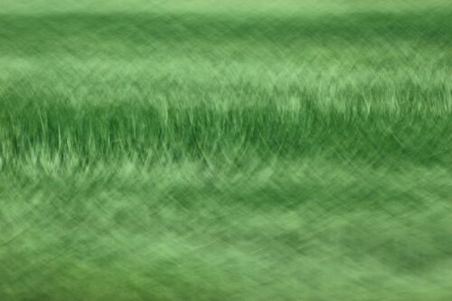 abstrakte Fotokunst, durch Bewegung entstandene Muster in einem Kornfeld, flächiges Bild in Grüntönen
