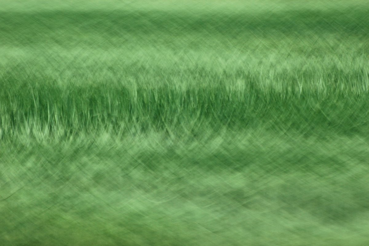 abstrakte Fotokunst, durch Bewegung entstandene Muster in einem Kornfeld, flächiges Bild in Grüntönen