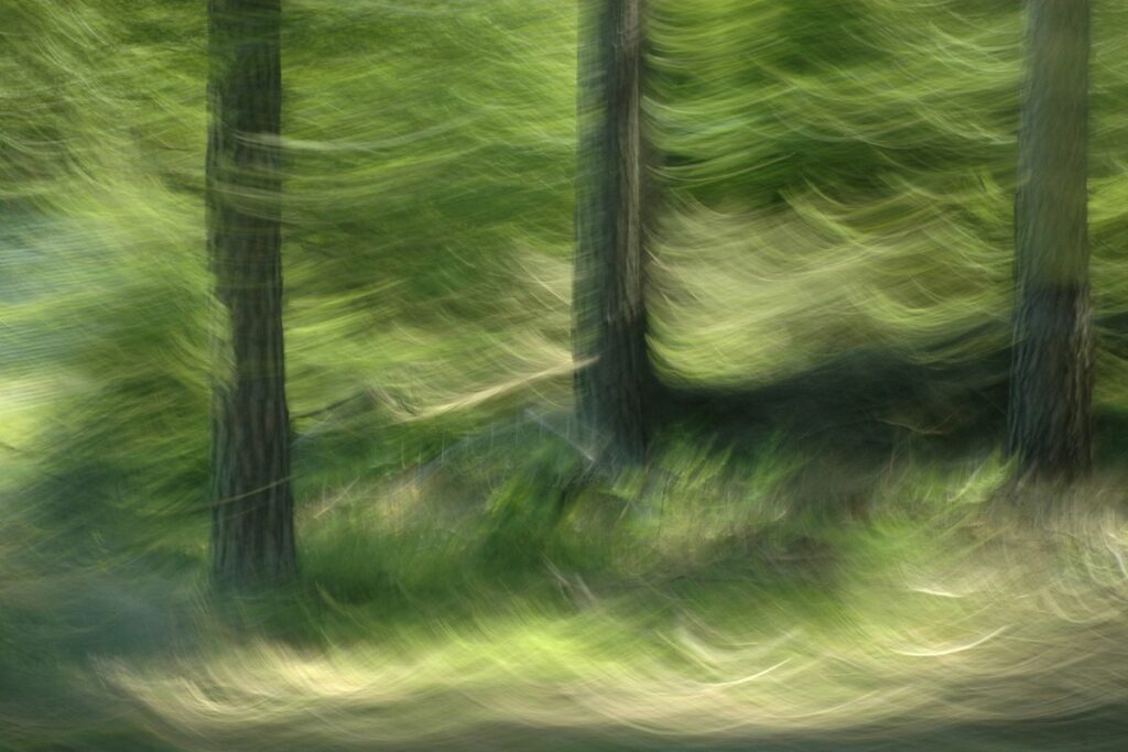 Fotokunst mit Bewegungsunschärfe, drei Stämme umgeben von grünen Wellen die durch die Kamerabewegung entstanden sind