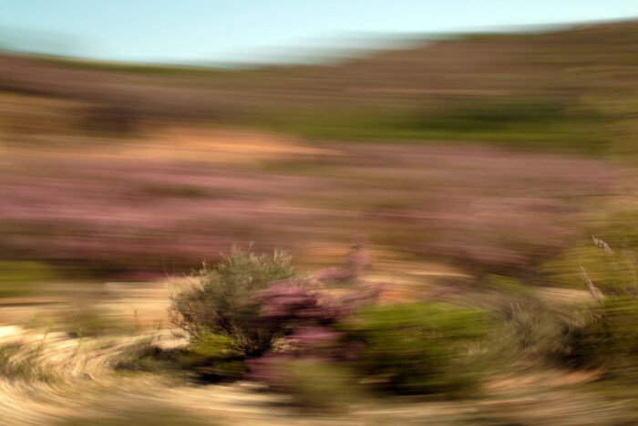 landscape photography in motion, abstract photo art, a Greek landscape with green an lilac bushes seem to turn in a circle