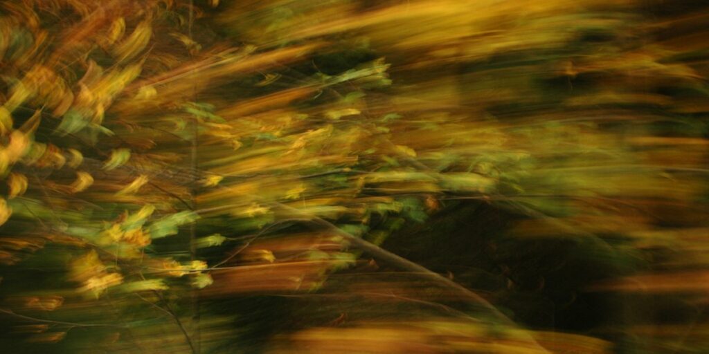 experimentelle Fotografie bunter Blätter vor dunklem Hintergrund, durch Bewegung verwischt