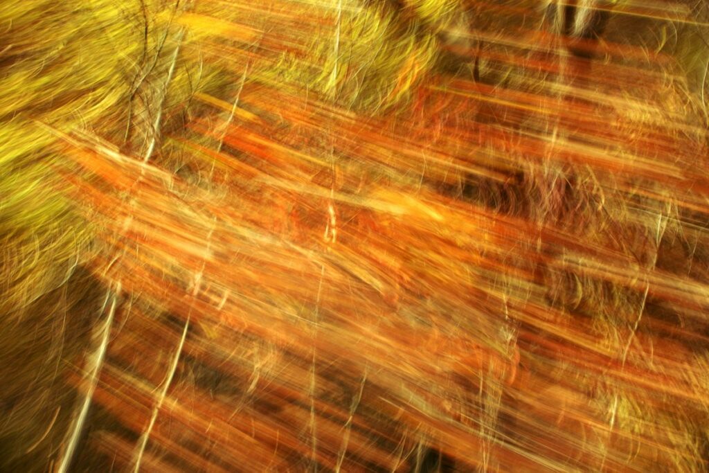 motion blur on a landscape photography. Autumn colours turned into a pattern that seems interwoven