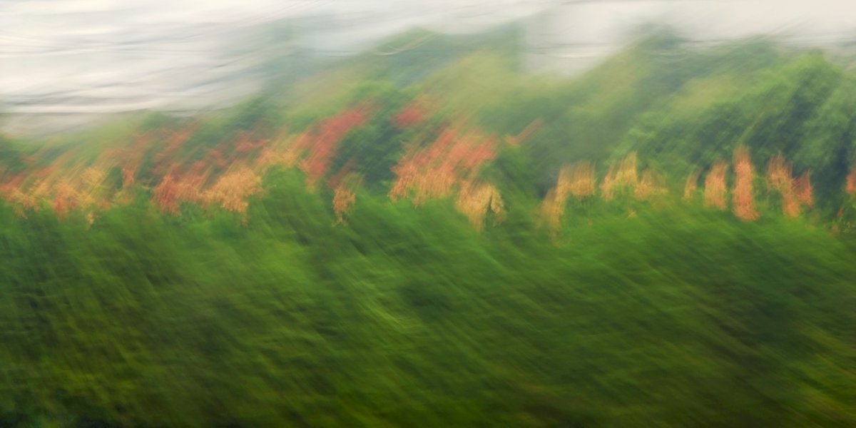 abstrakte Landschaftsfotografie mit Bewegungsunschärfe, eine hauptsächlich grüne Fläche aus verwischtem Blattwerk wird durch eine horizontale gelb-rote Linie begrenzt