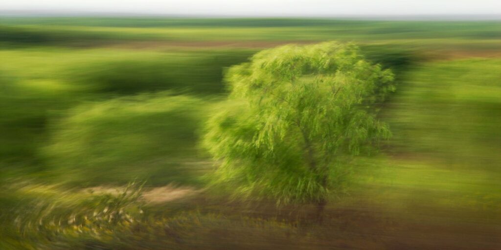Landschaftsfotografie in Bewegung, ein erkennbarer aber unscharfer Baum vor einem Hintergrund, der durch Bewegung verwischt ist