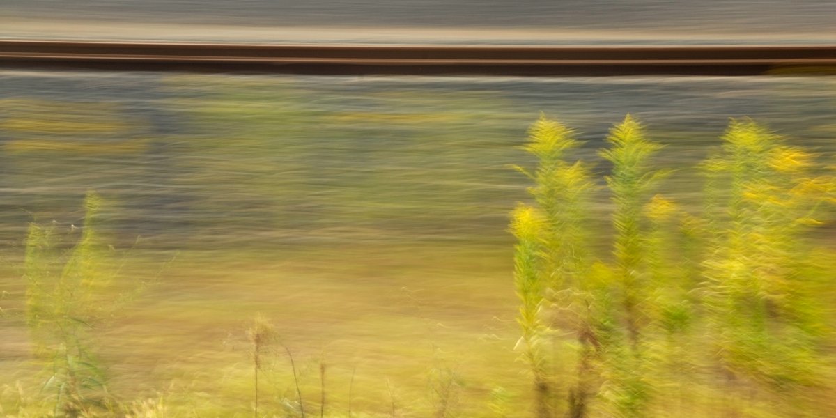 experimentelle Landschaftsfotografie, leicht verwischte gelb blühende Staude (Goldrute) vor stark verfremdetem Hintergrund, in dem Bahngleise zu erahnen sind