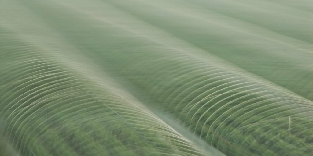abstrakte Fotokunst, bewegungsunschafte Gerüste für Folientunnel ergeben ein grafisches Muster in grün und weiß