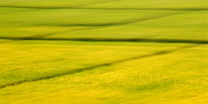 abstrakte Fotokunst, gelb blühende Felder, durch Bewegungsunschäfte zu Flächen reduziert