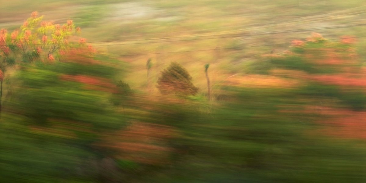 experimental photo art, a blurry green and red landscape