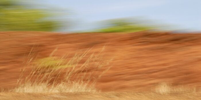 landscape photography wiht stron motion blur. Red earth, green treetops and golden grass blur into a composition colours and textures