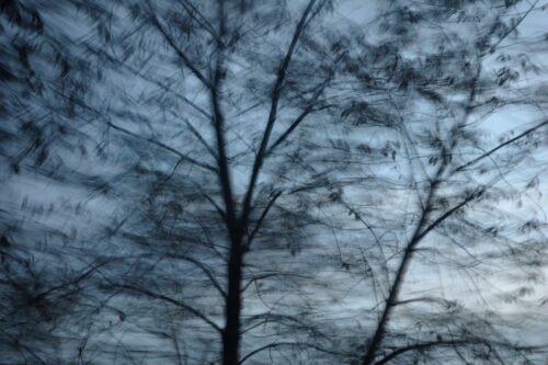 experimentelle Fotokunst, vereinzelte Blätter an kahlen Zweigen vor dunkelblauem Himmel