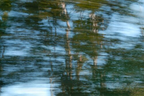 Experimental photo art, a blurred view of treetops that seem like a reflection because of the motion