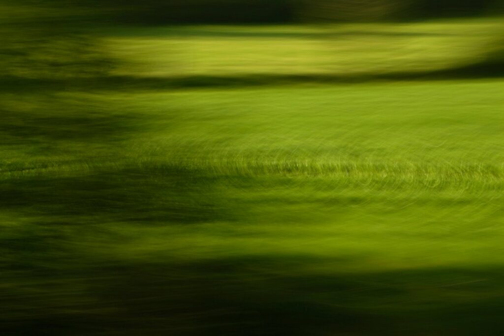 abstrakte Landschaftsfotografie mit starker Bewegungsunschärfe, dunkle statte Grüntöne mit schwarzen verwischten Schatten