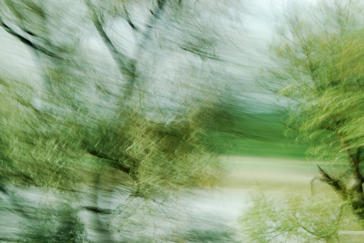 experimental photo art, treetops in different shades of green turned half transparent by motion blur