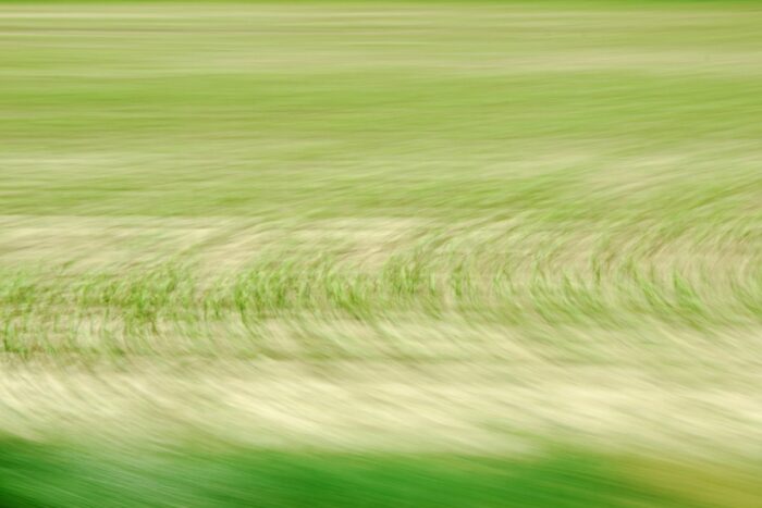 abstract photo art, young green on a field turned into circular pattern by motion and blur