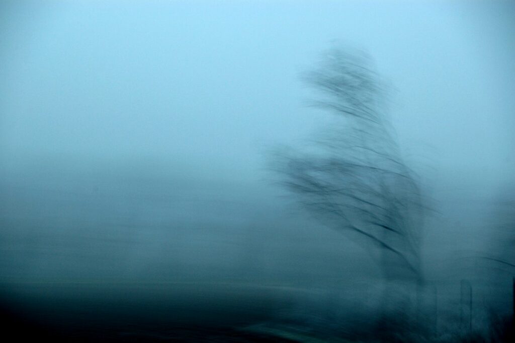 abstract photograph, a lonely tree surrounded by blue fog, blurred by motion