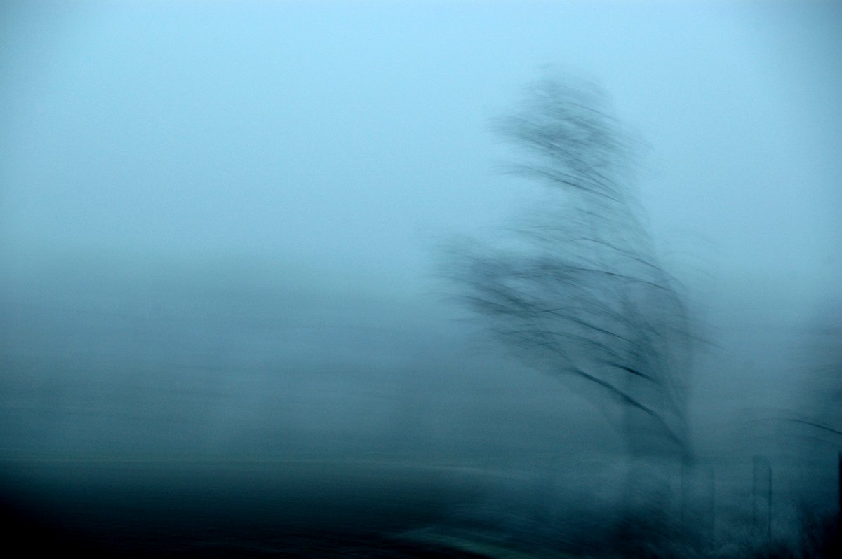 abstract photograph, a lonely tree surrounded by blue fog, blurred by motion