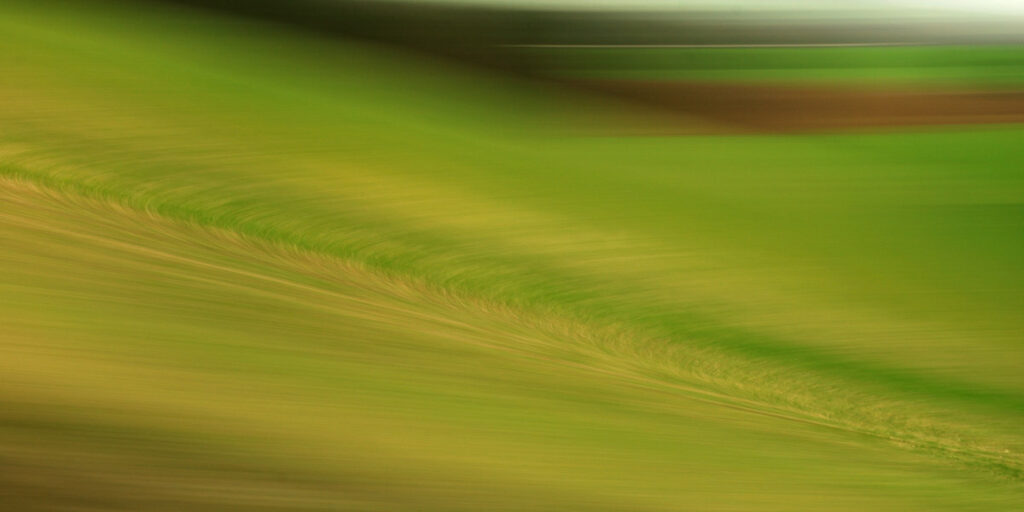abstract photo art of landscape in motion, green and brown circles and lines form a pattern