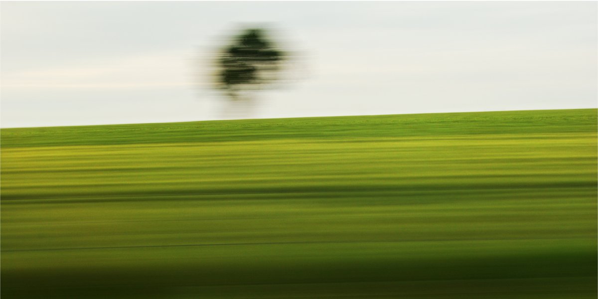landscape photography in motion, a field reduced to different shades of green by motion blur, above the horizon a shadow of a tree is visible