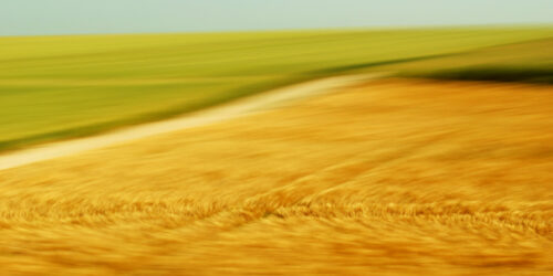 a golden field and a green field seperated by a country lane, turned soft by motion blur