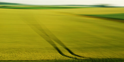 experimental photography, a yellow field with dark imressions turned blurry and soft by motion