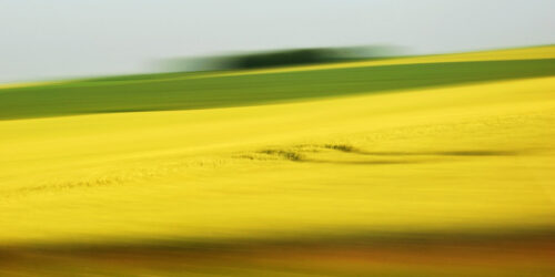 Landschaft in Bewegung, verwischtes gelbes Rapsfeld mit grüner Wiese und Horizont im Hintergrund, ansatzweise erkennbar ist eine dunkle geschwungene Fahrspur in der gelben Fläche