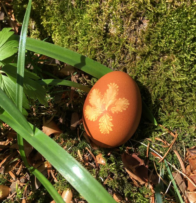 An ornate Easter egg lies among moss and leaves on a sunny day 