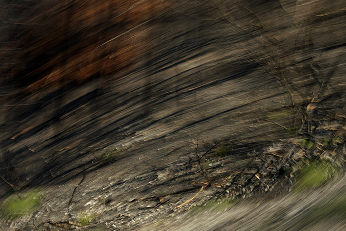 Detail einer Landschaft mit starker Bewegungsunschärfe. Asche auf dem Boden und verbrannte Sträucher ind erkennbar, dazwischen wächst Gras. 