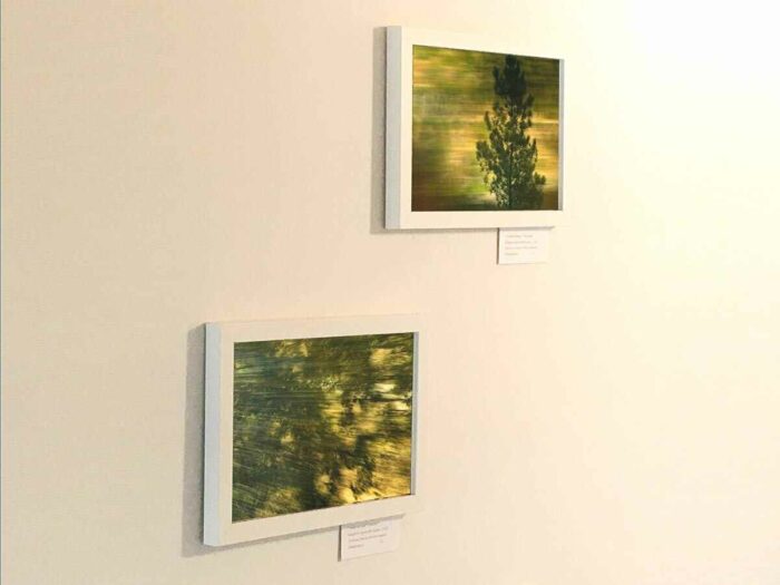 two framed photographs on a white wall. Both subjects are dark green with a yellow green and motion blurred