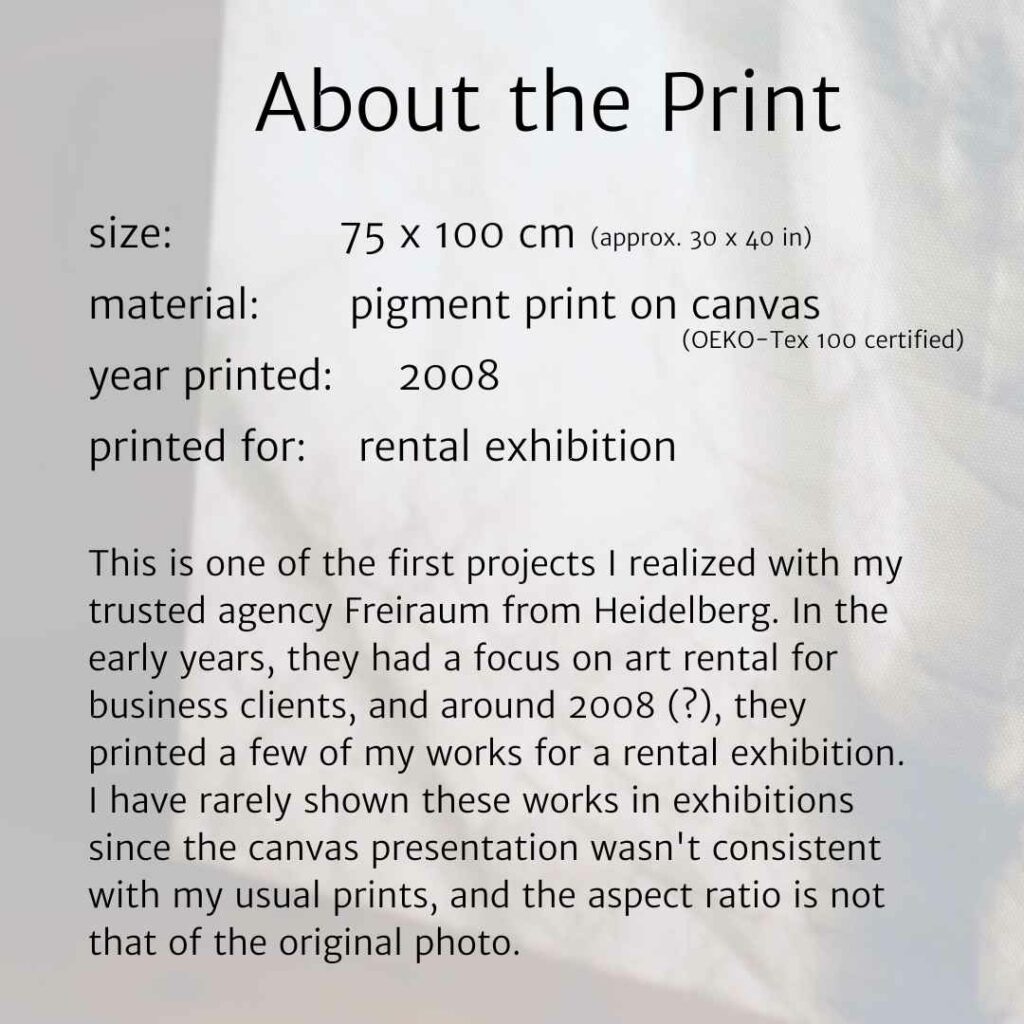 Text: This is one of the first projects I realized with my trusted agency Freiraum from Heidelberg. In the early years, they had a focus on art rental for business clients, and around 2008 (?), they printed a few of my works for a rental exhibition. I have rarely shown these works in exhibitions since the canvas presentation wasn't consistent with my usual prints, and the aspect ratio is not that of the original photo.