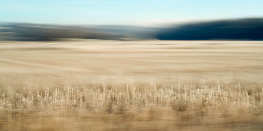 marshland in motion blur
