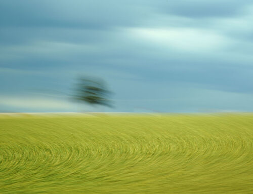 „Sturmhimmel“ – der Publikumsliebling auf Leinwand