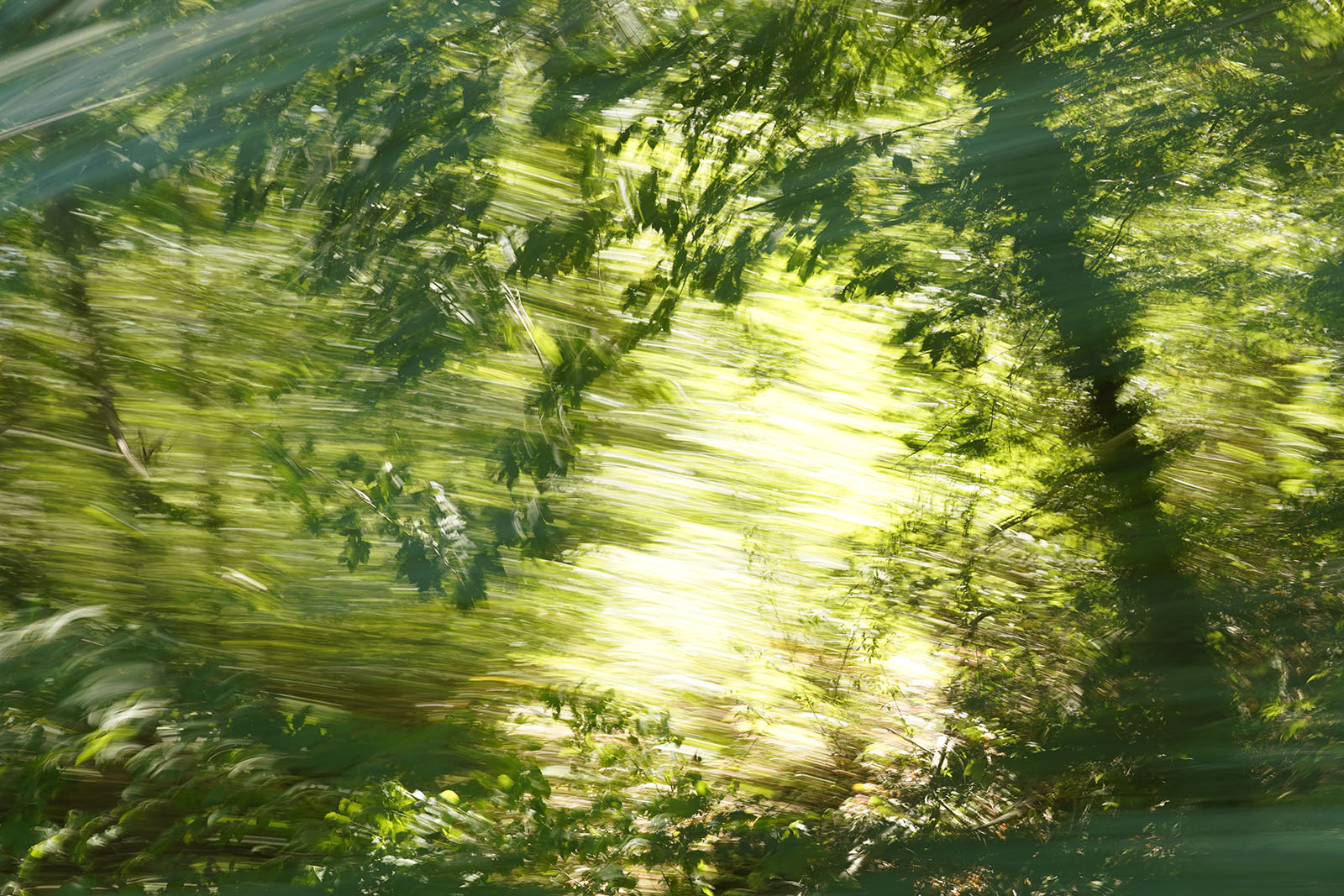 Fotokunstwerk aus der Serie "Travelscapes" von Jennifer Scales - Landschaft mit Beweungungsunschärfe, aufgenommen aus dem Zug