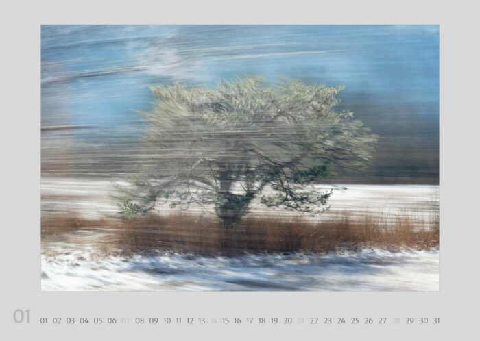 Kalenderblatt 01 aus dem Kalender "Travelscapes 2024" von Jennifer Scales. Das Motiv ist eine dynamische Fotografie mit Bewegungseffekten von einem Baum im Winter. Der Baum selber ist relativ klar zu erkennen, seine Umgebung verwischt durch die Bewegung.