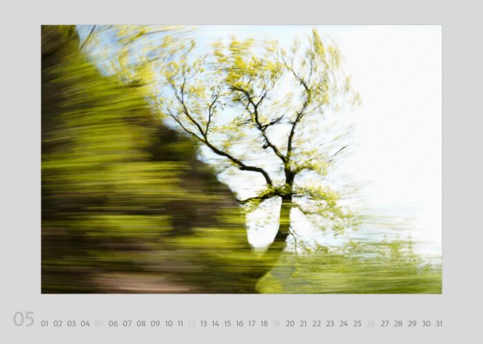 Calendar page 05 from the calendar "Travelscapes 2024" by Jennifer Scales. The motif is a dynamic photograph with movement effects of a tree in spring foliage growing on a cliff face.