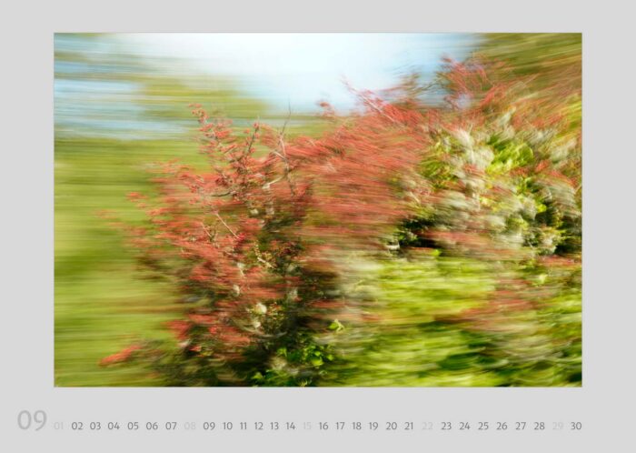 Kalenderblatt 09 aus dem Kalender "Travelscapes 2024" von Jennifer Scales. Das Motiv ist eine dynamische Fotografie eines Strauches mit roten Beeren. Die Bewegungseffekte lassen die Beeren teilweise zu farbigen Linien verschwimmen.
