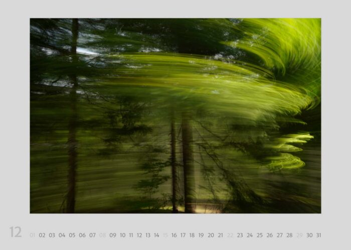 Calendar page 12 from the calendar "Travelscapes 2024" by Jennifer Scales. The motif is a dynamic photograph with movement effects in a coniferous forest - it looks like a dancing tree.